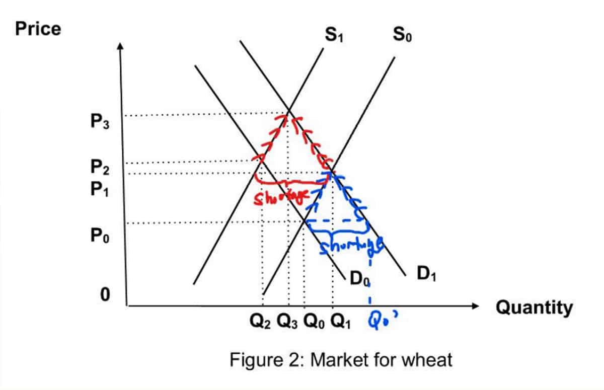 Market for Wheat Graph